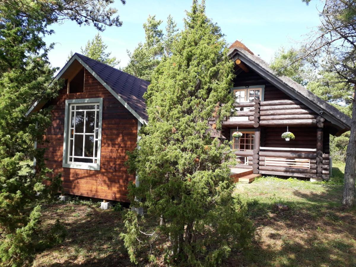 Paehkli Seaside Cottage With Cozy Outdoor Patio Koiguste Eksteriør billede